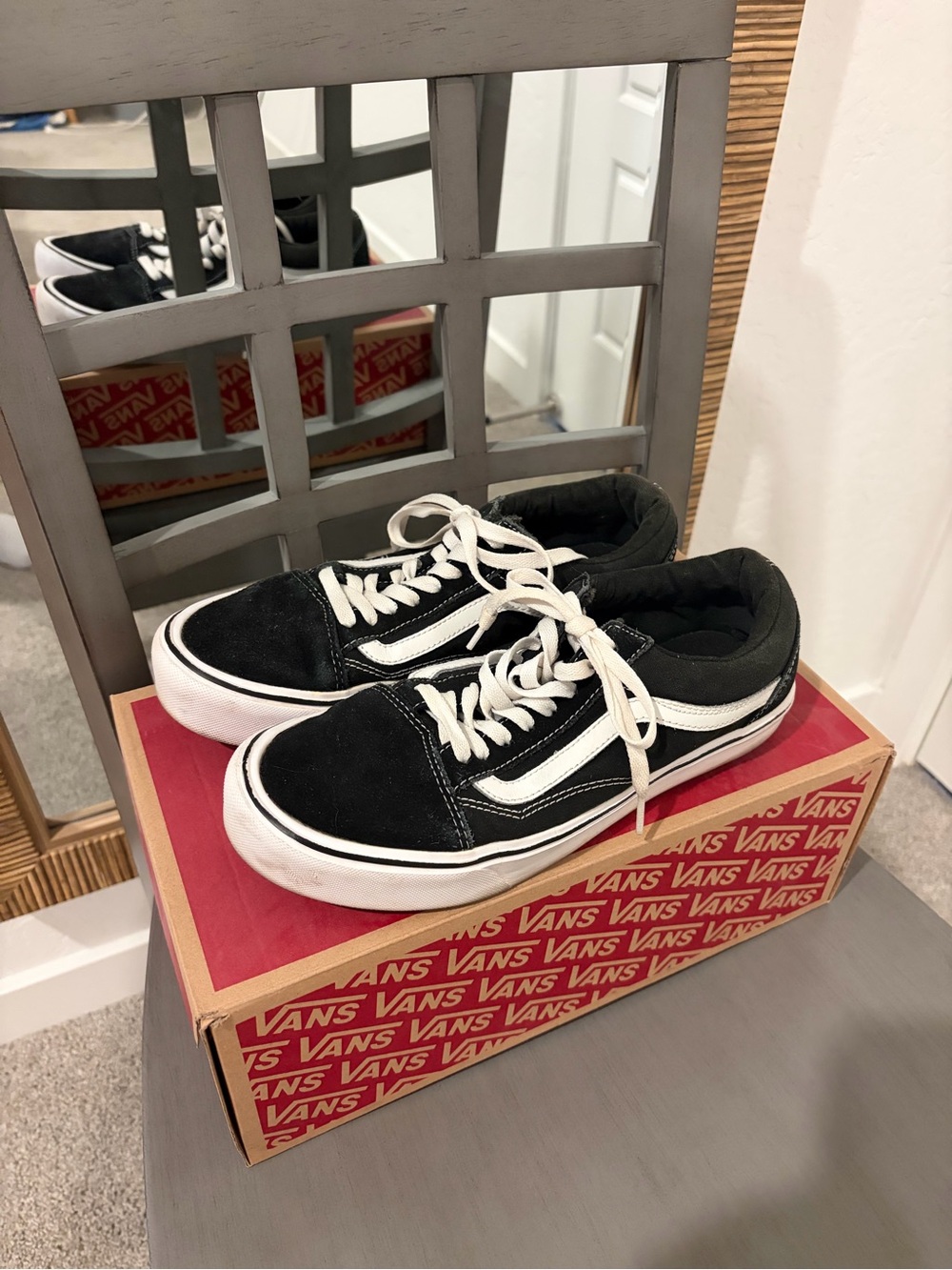 Vans Black & White Low-Top Skate Sneakers